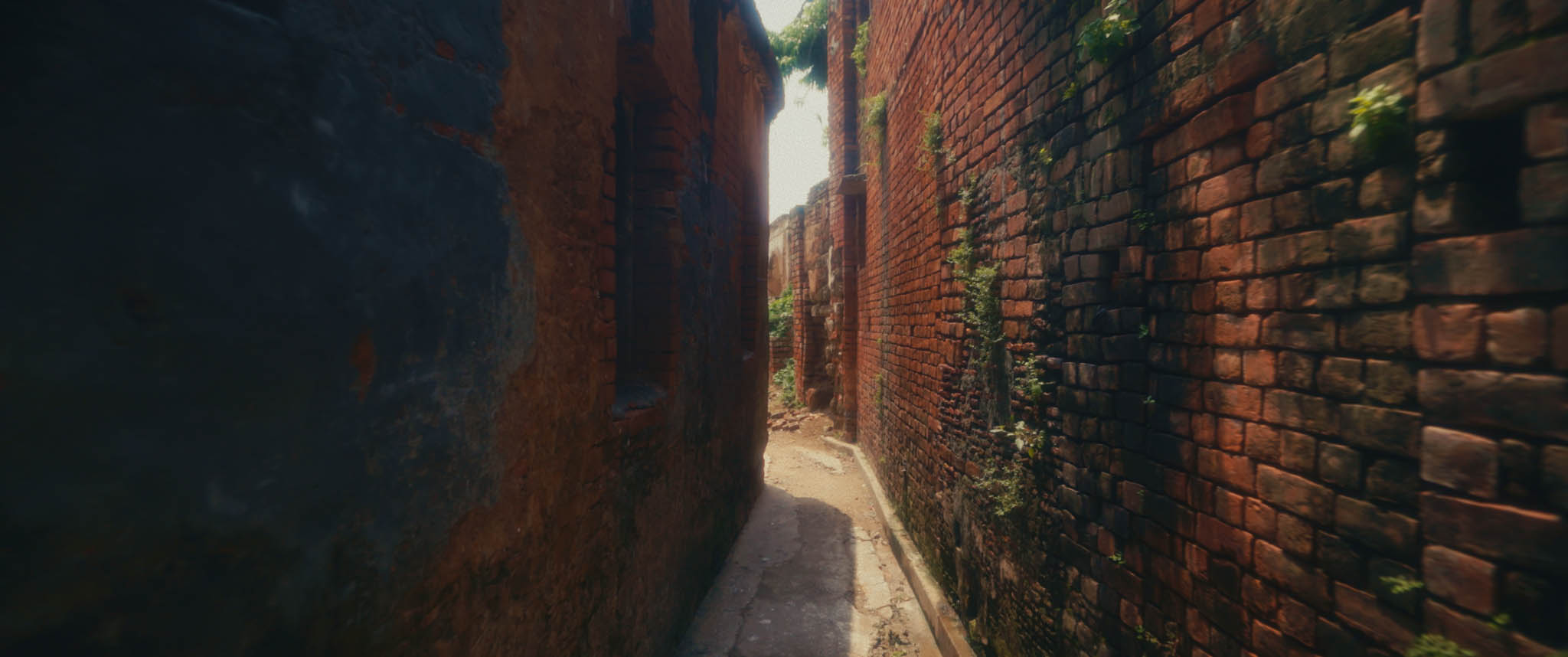 Narrow brick walkway